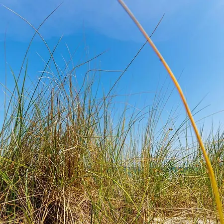 Apartment Strandurlaub Ruegen 